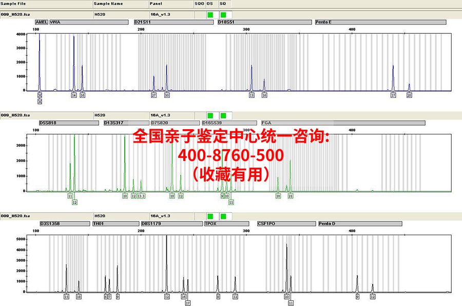 广东省亲子鉴定办理费用,广东省亲子鉴定办理流程指南