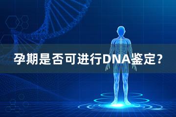 孕期是否可进行DNA鉴定？