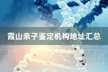 霞山亲子鉴定机构地址汇总