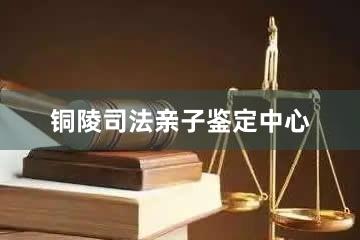 铜陵司法亲子鉴定中心