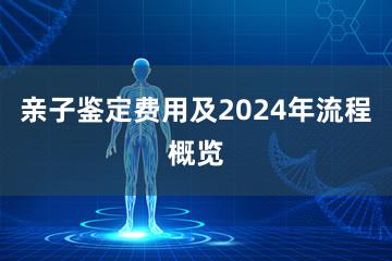 亲子鉴定费用及2024年流程概览