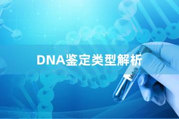 DNA鉴定类型解析