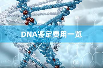 DNA鉴定费用一览