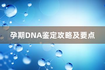 孕期DNA鉴定攻略及要点