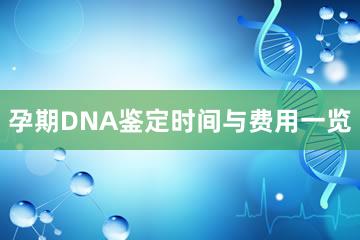 孕期DNA鉴定时间与费用一览