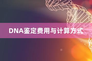 DNA鉴定费用与计算方式